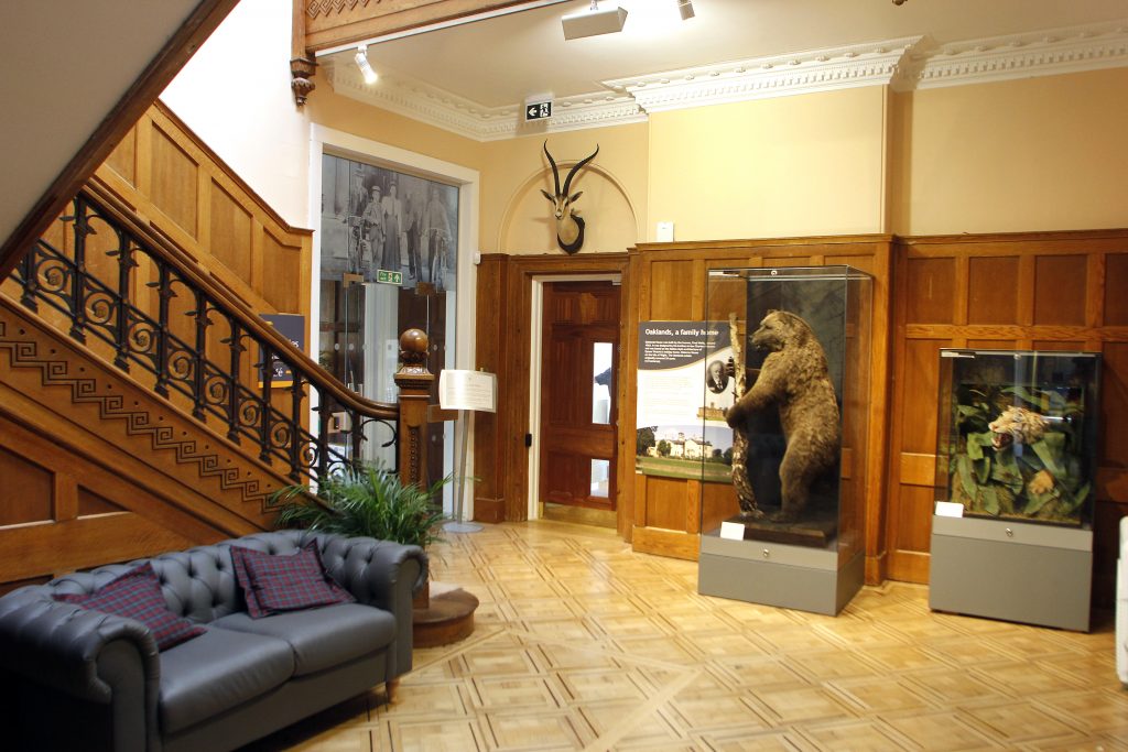 Chelmsford Museum-bear